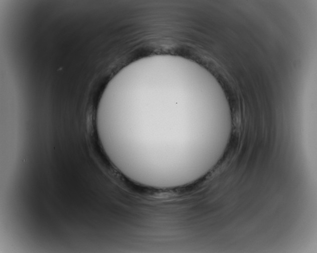 X0000099500468200805150953