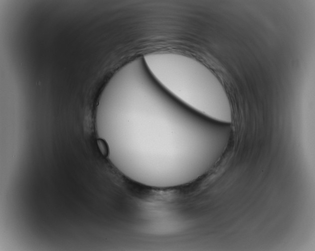 X0000099500469200805150953