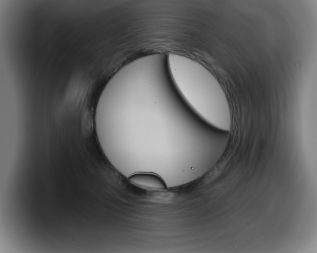 X0000099500471200805150953
