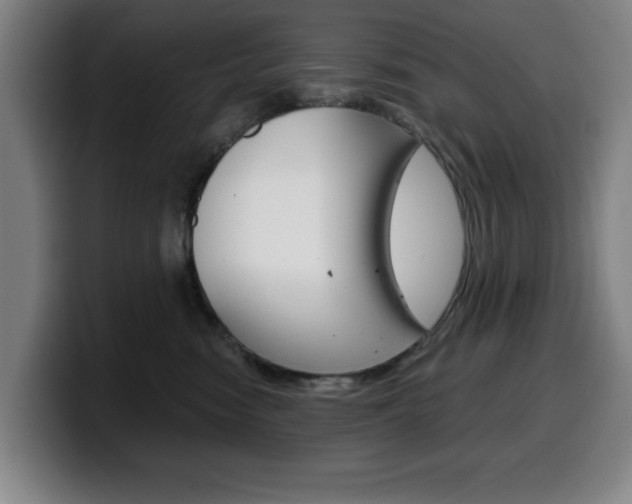 X0000099500474200805150953