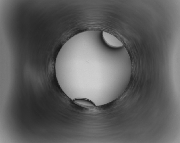 X0000099500475200805150953