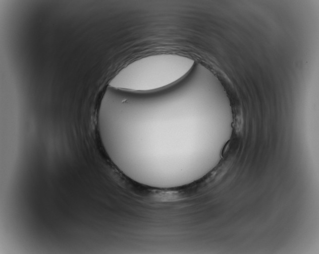 X0000099500476200805150953