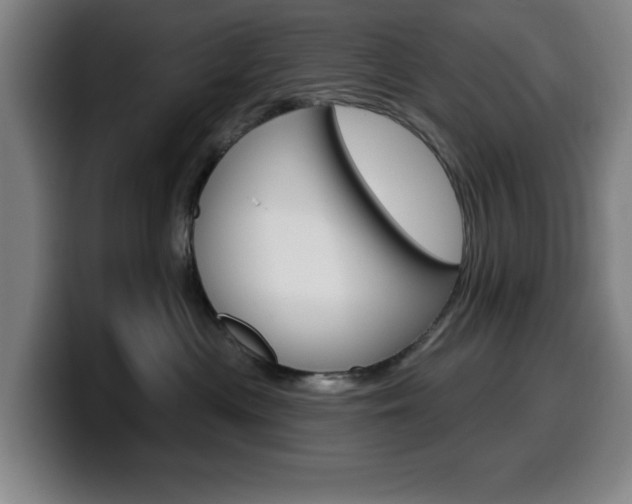 X0000099500477200805150953