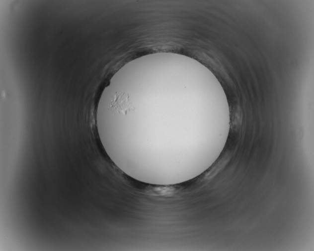 X0000099500478200805150953