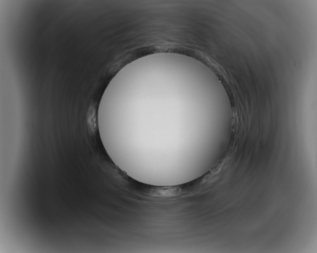 X0000099500479200805150953