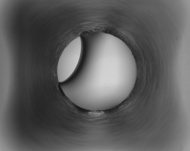 X0000099500480200805150953