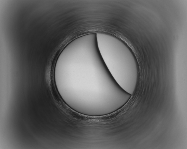 X0000099500482200805150953