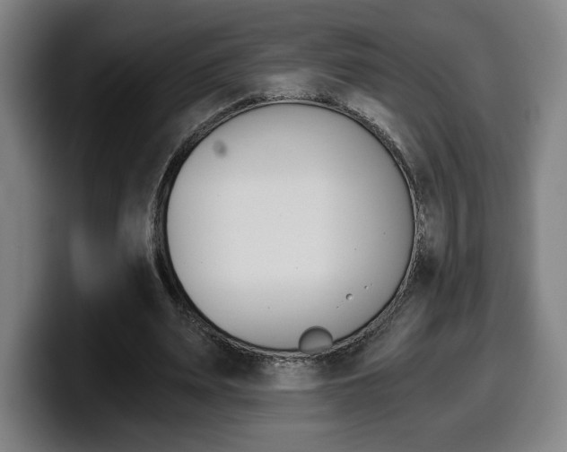 X0000099500487200805150953