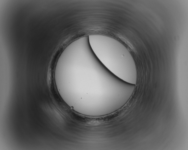 X0000099500494200805150952