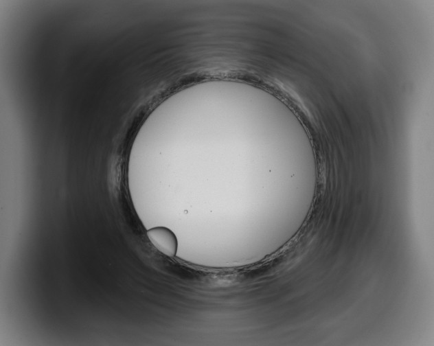 X0000099500495200805150952