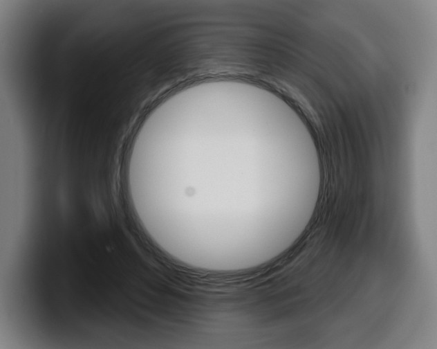 X0000099500496200805150952