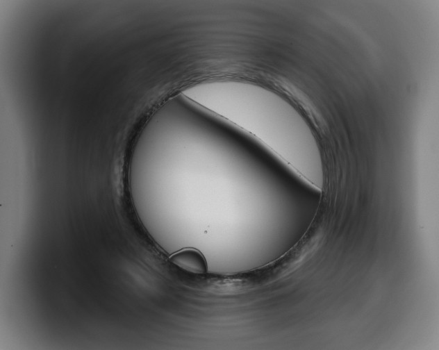X0000099500497200805150952