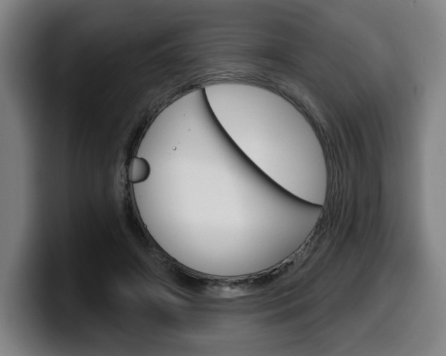 X0000099500498200805150952
