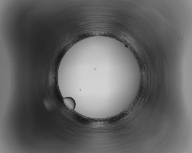 X0000099500499200805150952