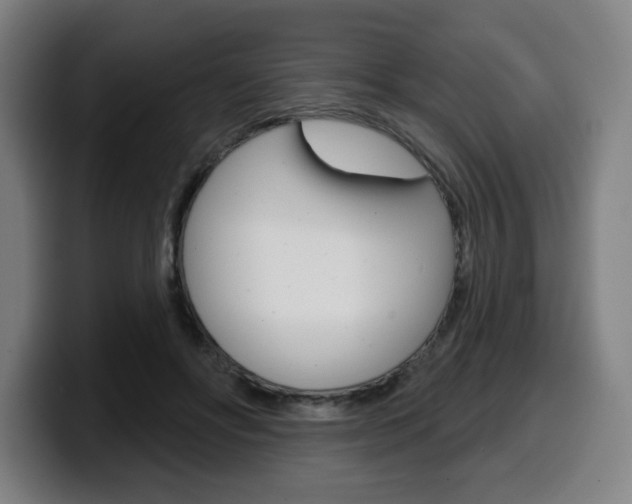 X0000099500502200805150952