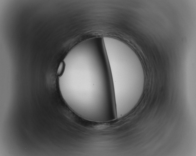 X0000099500505200805150952