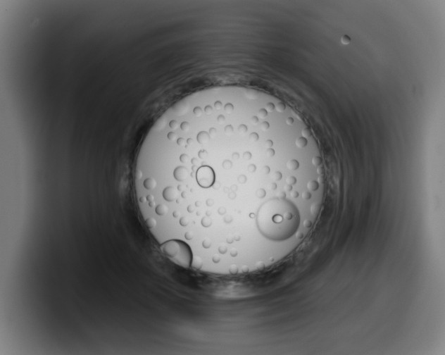 X0000099500507200805150952