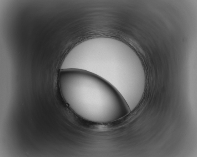 X0000099500509200805150952