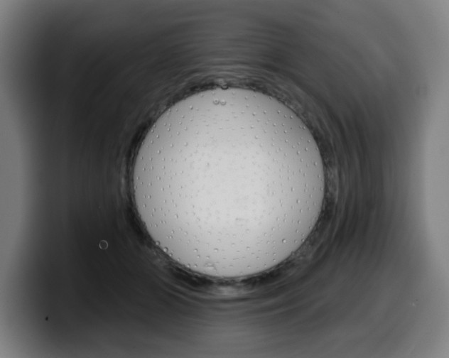 X0000099500510200805150952