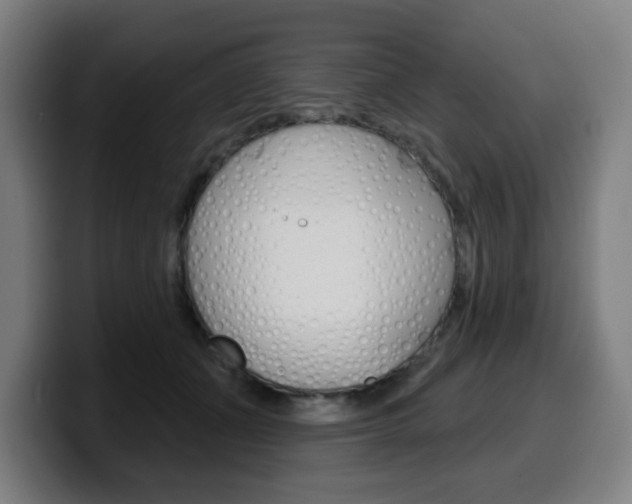 X0000099500511200805150952