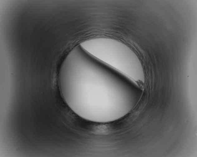 X0000099500513200805150952