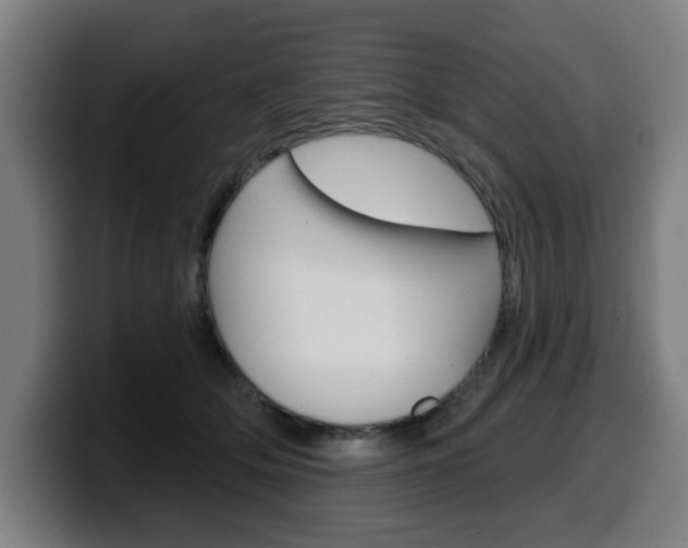 X0000099500514200805150952