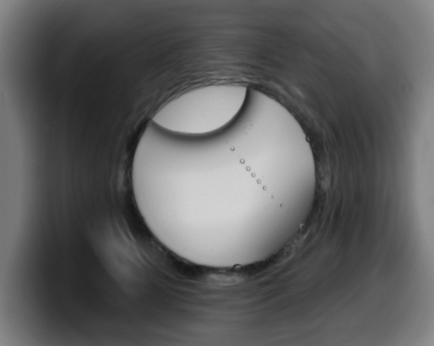 X0000099500515200805150952