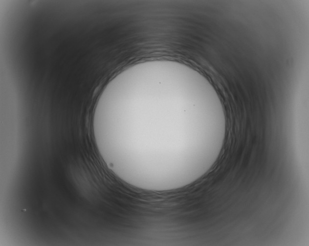 X0000099500516200805150952