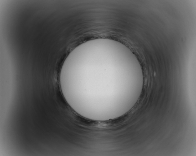 X0000099500518200805150952