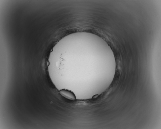 X0000099500519200805150952