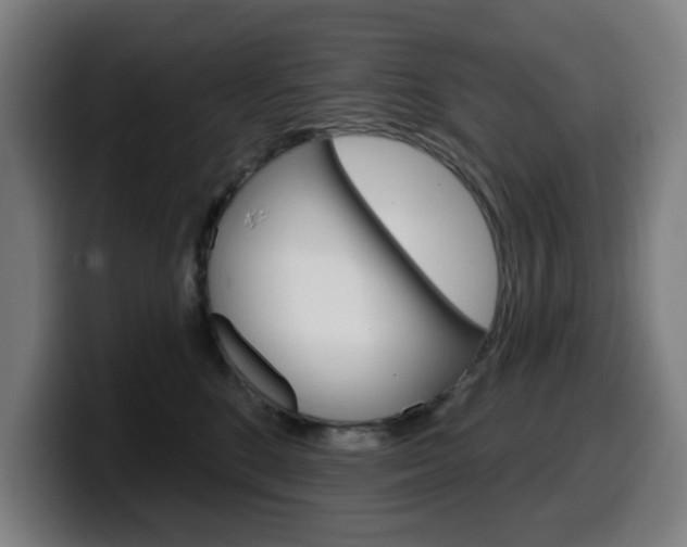 X0000099500520200805150952