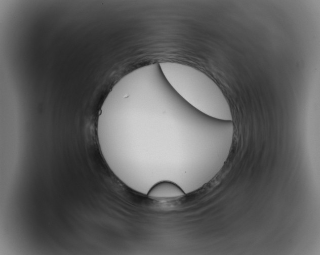 X0000099500522200805150952