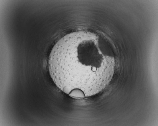 X0000099500523200805150952