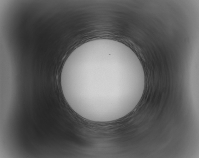 X0000099500524200805150952