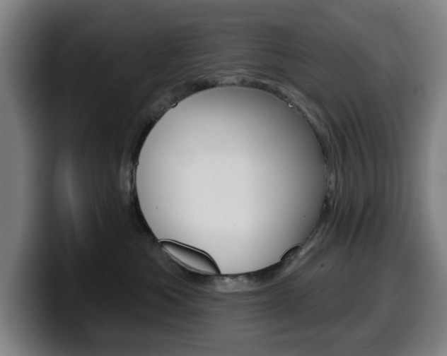 X0000099500525200805150952