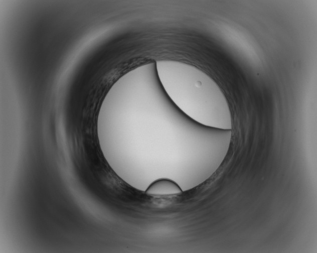 X0000099500526200805150952