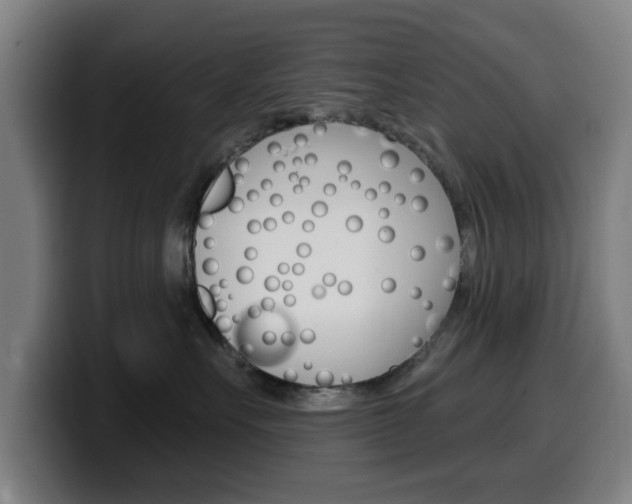 X0000099500527200805150952