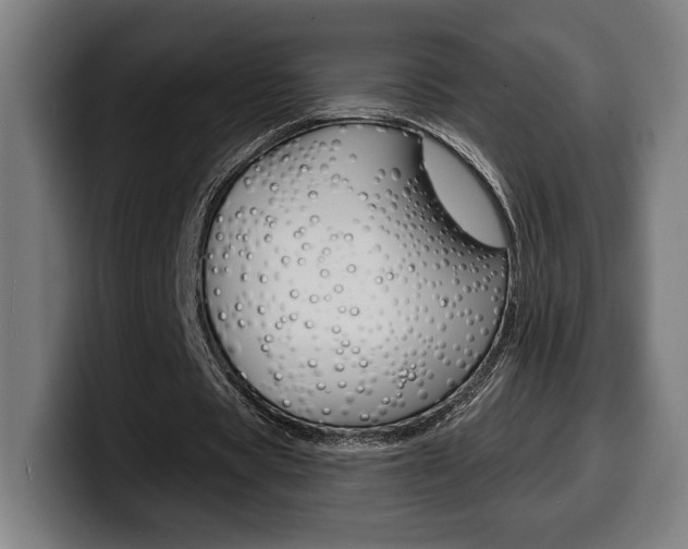 X0000099500529200805150951