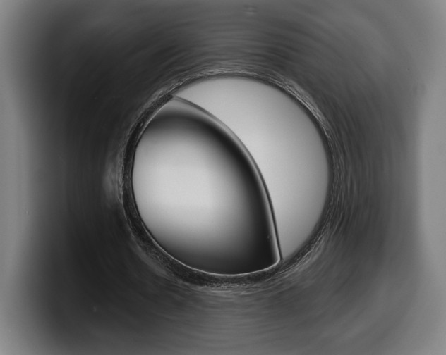 X0000099500530200805150951