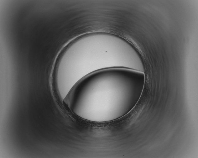 X0000099500532200805150951