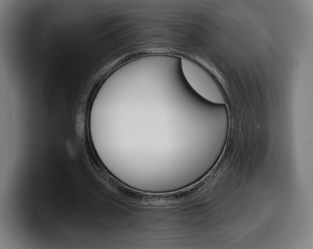 X0000099500533200805150951