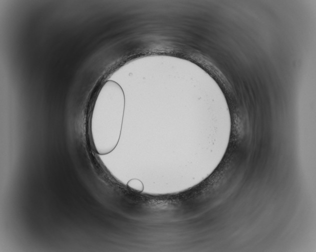 X0000099500534200805150951