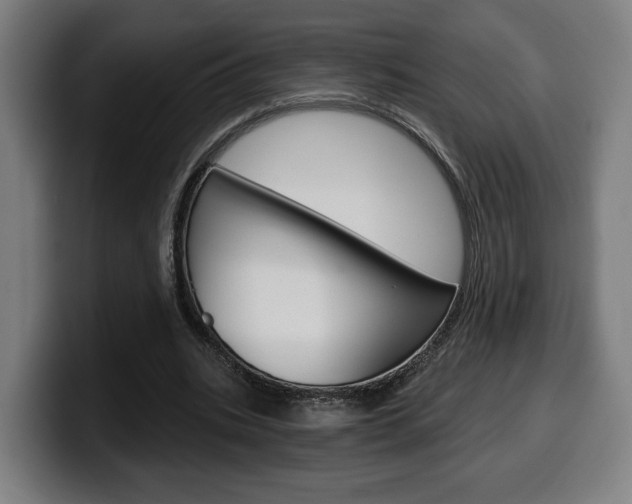 X0000099500535200805150951
