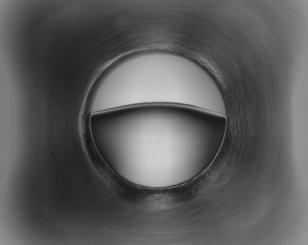 X0000099500536200805150951