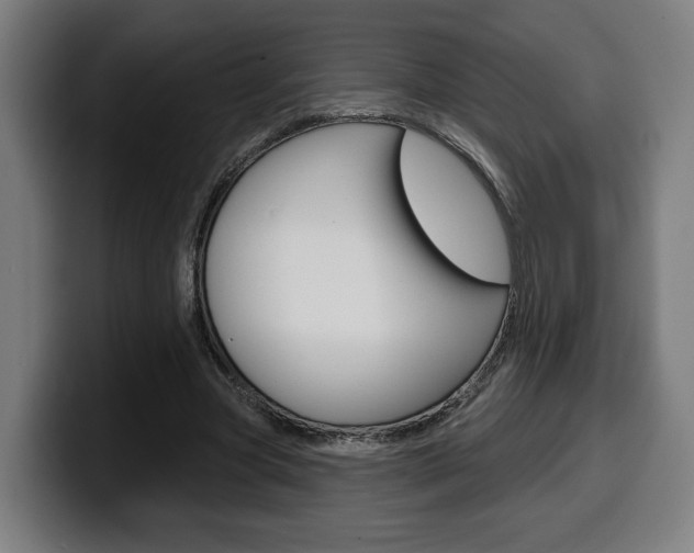 X0000099500537200805150951