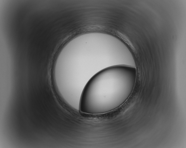 X0000099500538200805150952
