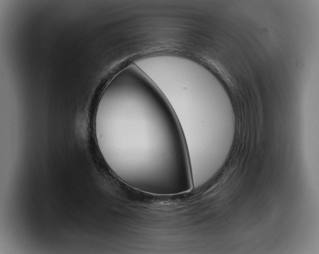 X0000099500540200805150952