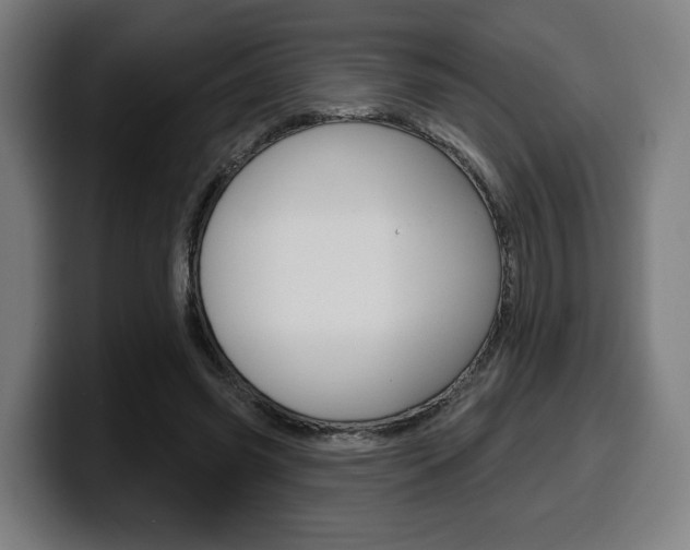 X0000099500541200805150952