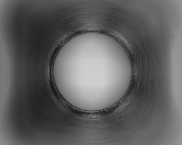 X0000099500542200805150952