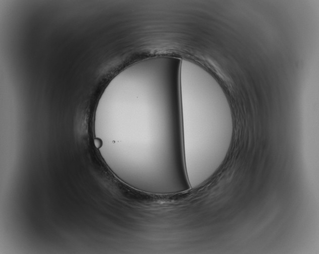X0000099500543200805150952
